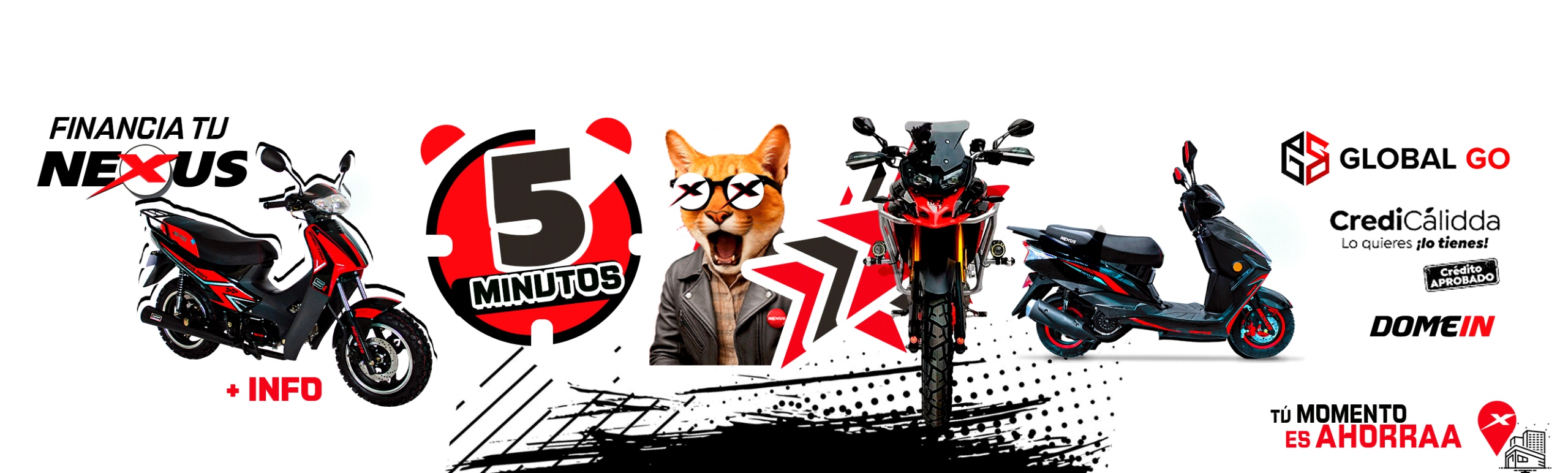 NEXUS-recomienda-FINANCIAMIENTO 1