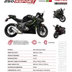 250 RSPORT